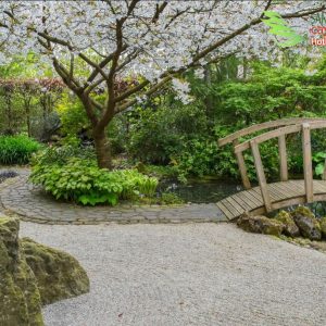 Thi Công Sân Vườn Nhật Bản