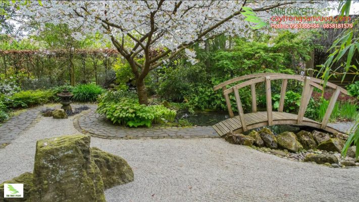 thiết kế sân vườn theo phong cách thiền
