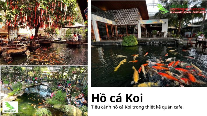 Phong cách thiết kế quán cafe Nhật Bản cùng với hồ cá Koi thu hút nhiều sự quan tâm của cách thành viên trong gia đình tham quan và thưởng thức nước uống.