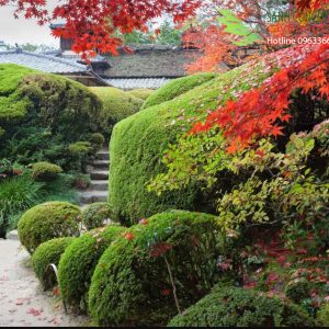 cách làm sân vườn nhật bản
