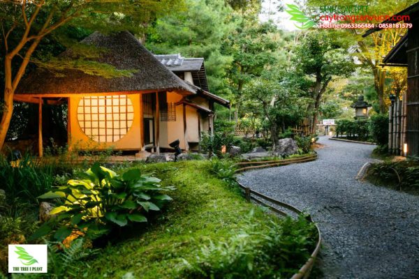 Con đường uống lượng tự nhiên trong khoảng sân, trong không gian vườn cùng với hồ nước và trà thất tôn lên vẽ đẹp bình dị và tự nhiên của cảnh quan sân vườn nhật bản.