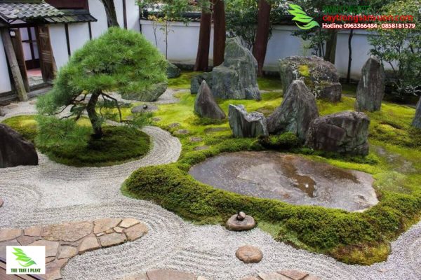 Hình ảnh sân vườn nhật bản được thể hiện thông qua việc mô phỏng núi đồi và biển trong khoảng sân diển tả không gian bao la rộng lớn của phong cảnh thiên nhiên 