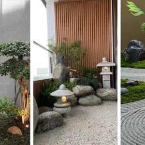 sâm vườn nhật bản hiện đại