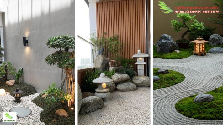 sâm vườn nhật bản hiện đại