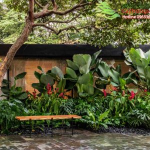 cay san vuon nhiet doi