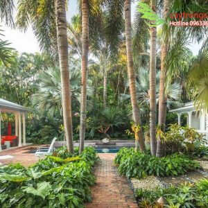 decor vườn nhiệt đới