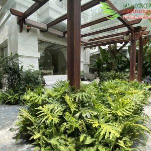 khu vườn nhiệt đới