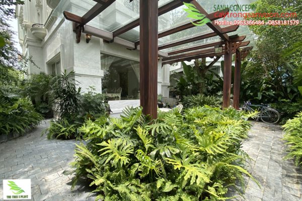 khu vườn nhiệt đới