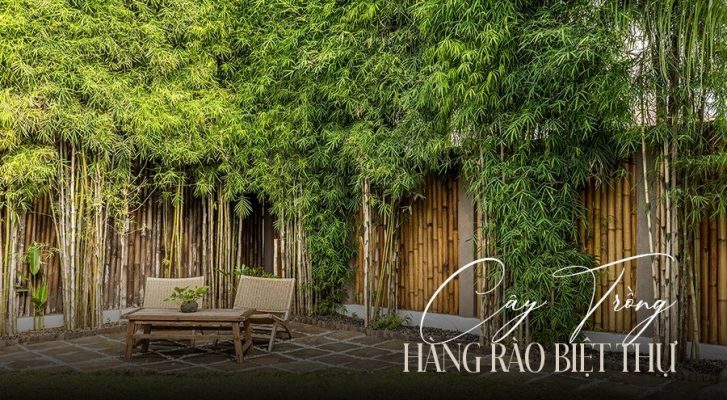 tre-truc-hang-rao-biet-thu