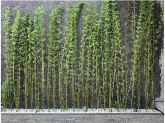 truc quan tu lam hang rao