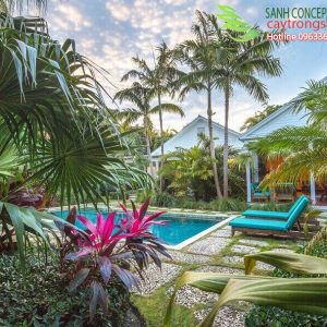 vườn nhiệt đới