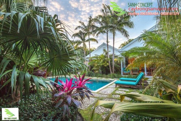 vườn nhiệt đới