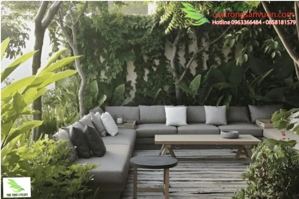 vườn nhiệt đời hiện đại